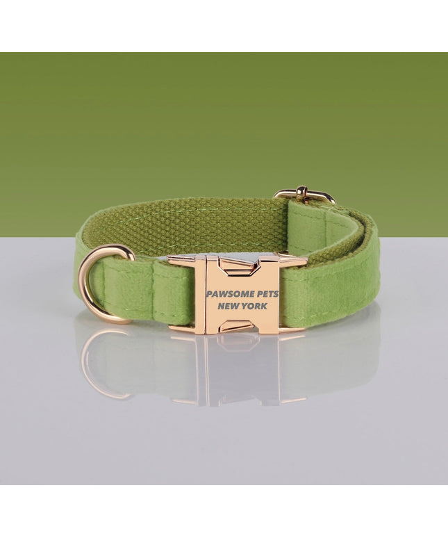 PAWSOME DOG COLLAR - #7-0