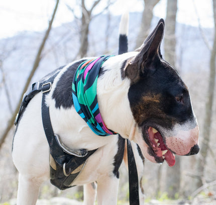 Zoomies Pup Scruff-3