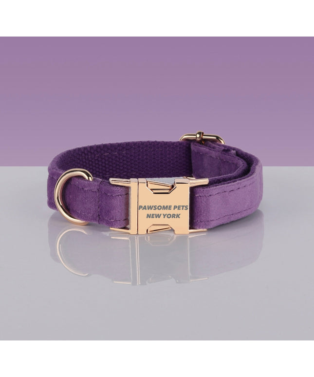 PAWSOME DOG COLLAR - #22-0