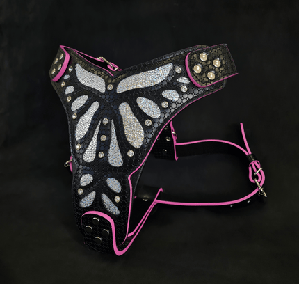 The ''Ariel'' harness