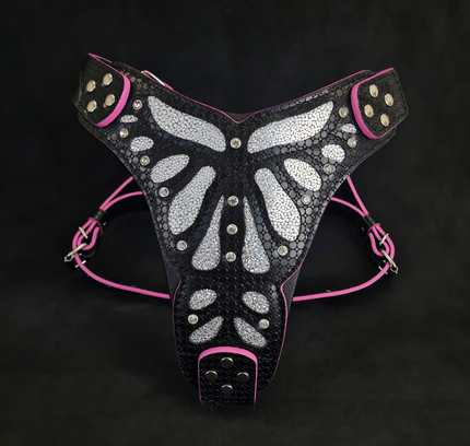 The ''Ariel'' harness