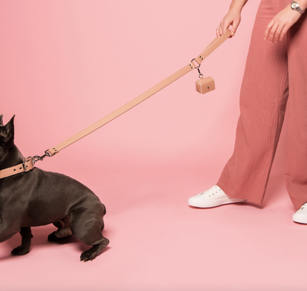 Blush pink apple leather lead-3