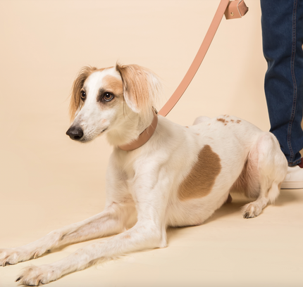 Blush Pink Skylos Set-1