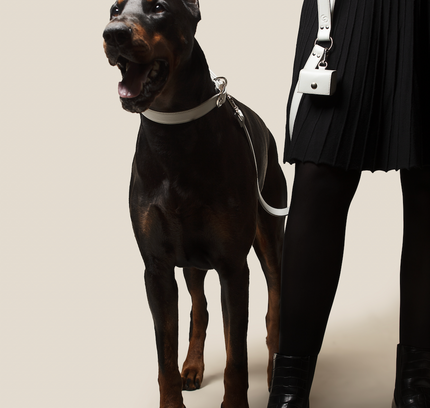 Ice Blue Skylos Set-0