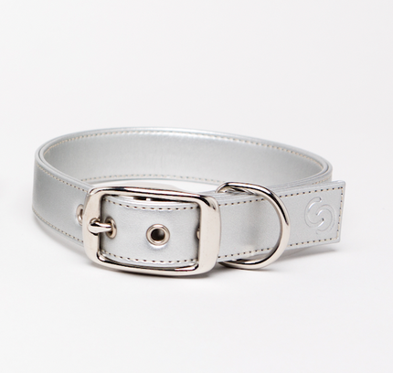 Silver apple leather dog collar-1