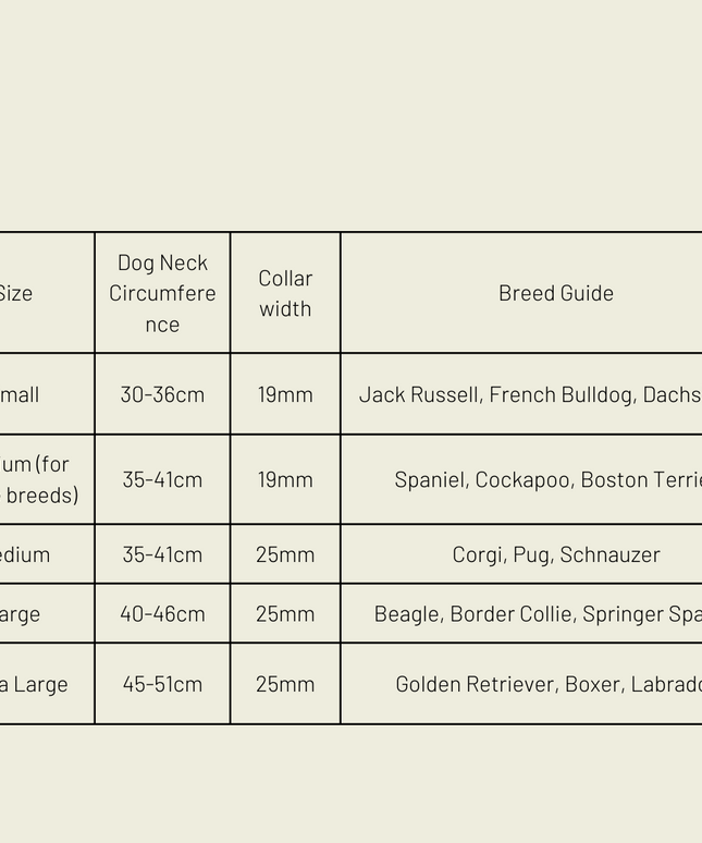 Silver apple leather dog collar-4