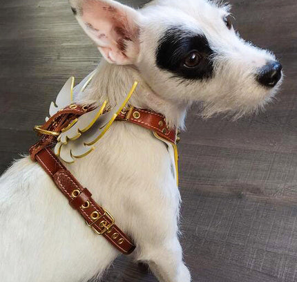 The "Hermeses" leather harness - Small to Medium Size-4