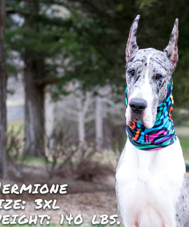 Zoomies Pup Scruff-4