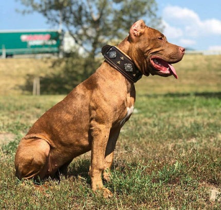 "Aztec" brown dog collar-1