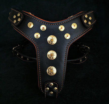 „Bijou“-Geschirr Schwarz & Orange für große Hunde