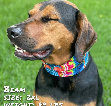 Bedouin Paws Pup Scruff-2