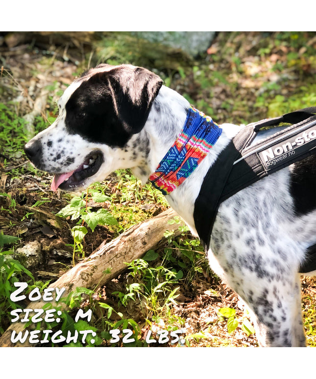 Bedouin Paws Pup Scruff-0