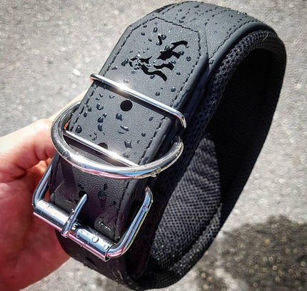 BESTIA DOG SPORT COLLAR-3