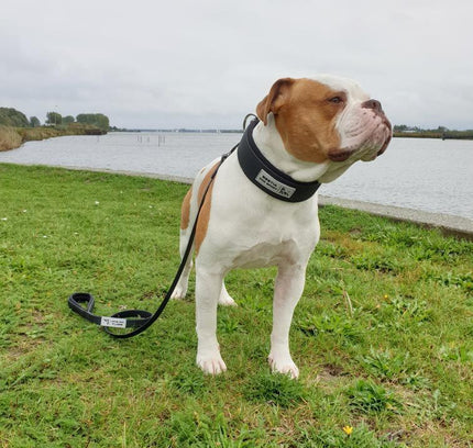 BESTIA DOG SPORT TACTICAL LEASH-4