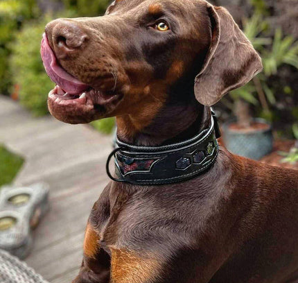 BATDOG collar-2