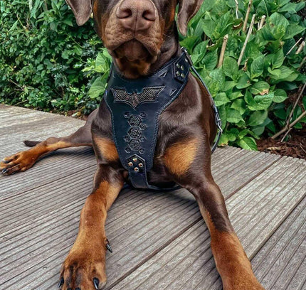 'BATMAN'' HARNESS