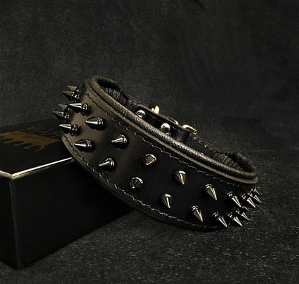 BLACK "Frenchie" collar-0