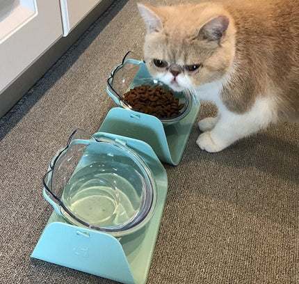 Cat Bowls Dogs Feeders Cats Feeding Bowl With Raised Stand For Cats Double Bowl Cats Food Bowls Water Bowls Pet Supplies-3