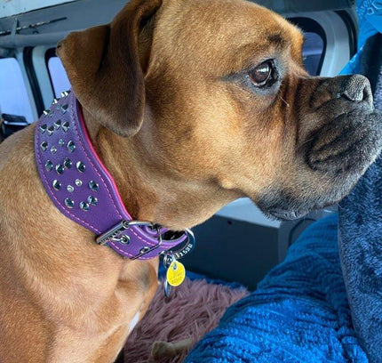 "Crystal" 2.8 inch wide soft leather collar-3