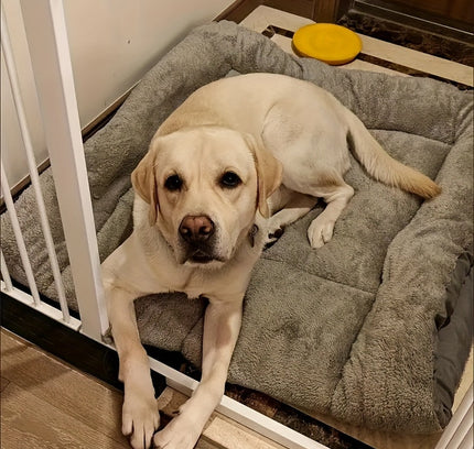 Extra-Large Plush Dog Sofa Bed with Non-Slip Base-2