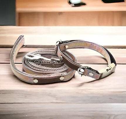 Designer Doggo Delight Set: Engraved Buckle Collar-0