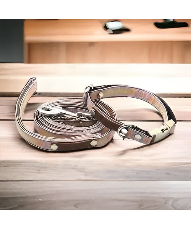 Designer Doggo Delight Set: Engraved Buckle Collar-0