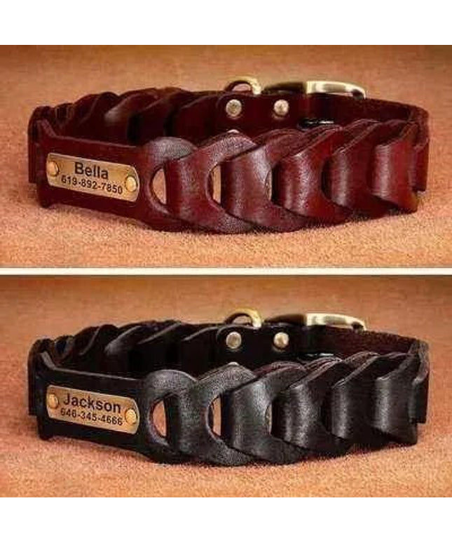 Didog Personalised Leather Dog Collar-0
