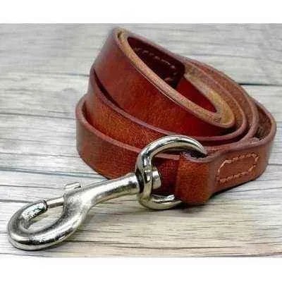 Didog Stylish Leather Dog Leash-2