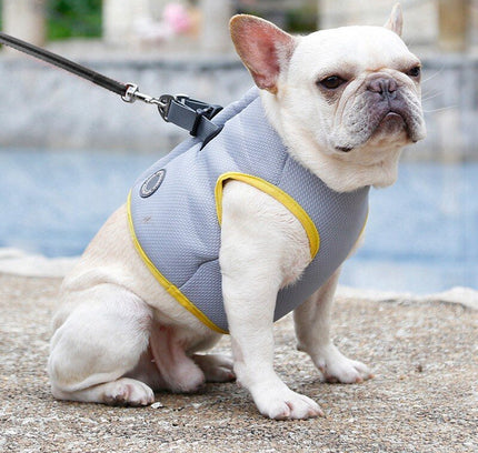 Dog Harness and Leash Set for Chihuahua Pug Small Medium Puppy Cat Harnesses Vest Cooling Walking Lead Harness-0