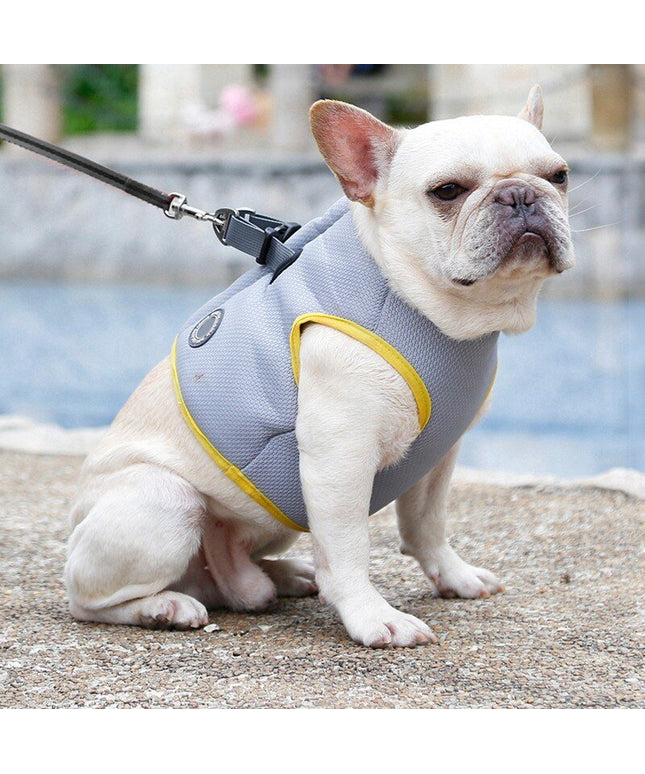 Dog Harness and Leash Set for Chihuahua Pug Small Medium Puppy Cat Harnesses Vest Cooling Walking Lead Harness-0