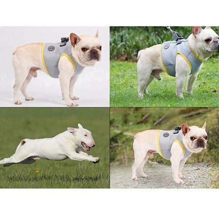 Dog Harness and Leash Set for Chihuahua Pug Small Medium Puppy Cat Harnesses Vest Cooling Walking Lead Harness-1