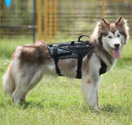 Durable Dog Harness Tactical Military Dog Vest No Pull Pet Training Harnesses Vest for Medium Large Dogs M L XL-4