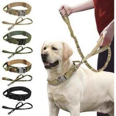 Elite Guardian Military Dog Collar & Bungee Leash Set-0