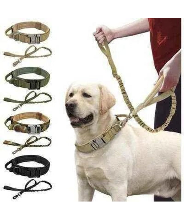 Elite Guardian Military Dog Collar & Bungee Leash Set-0