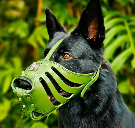 'Eros'' Basket Muzzle GREEN-1