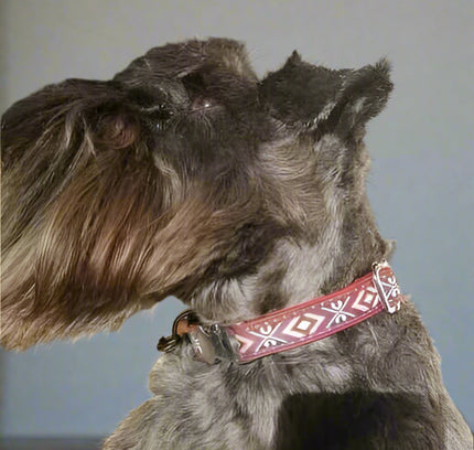 Engraved Charm Cotton Dog Collar by No.29s-1