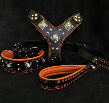 "EROS" BIG dog SET- Harness - collar - lead. Black & Orange-0