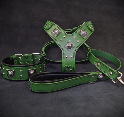 "EROS" BIG dog SET- Harness - collar - lead. Green-0