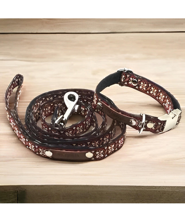 Finnigan's Bespoke Pup Collar Set-0