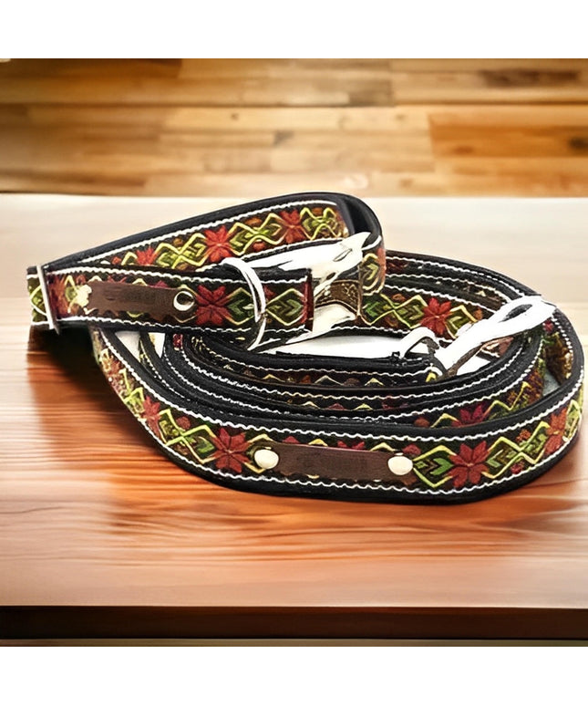 Finnigan's Fabulous Fabric Dog Collar Set-0