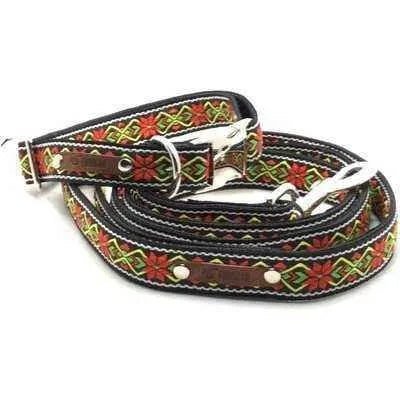 Finnigan's Fabulous Fabric Dog Collar Set-1