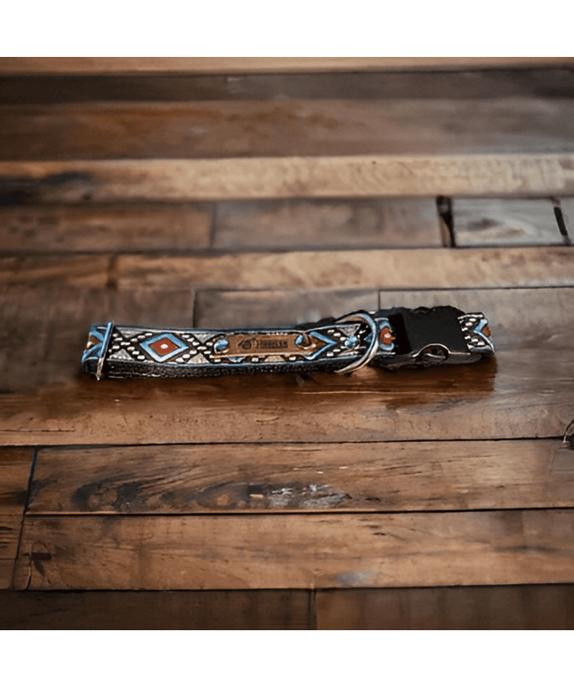 Finnigan's Luxe Pet Collar Set-0