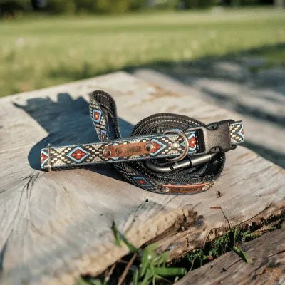 Finnigan's Luxe Pet Collar Set-1