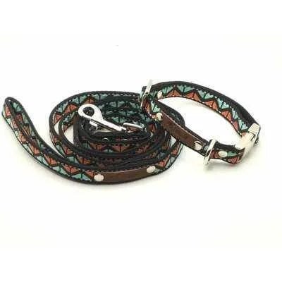 Finnigan's Whimsical Designer Dog Collar Set with Lead-1
