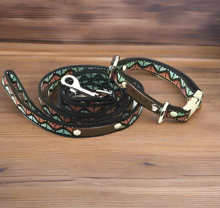 Finnigan's Whimsical Designer Dog Collar Set with Lead-0