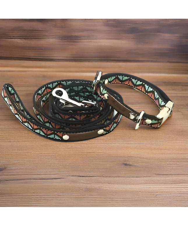 Finnigan's Whimsical Designer Dog Collar Set with Lead-0
