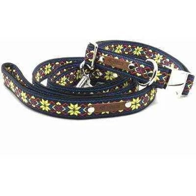 Finnigan's Stylish Custom Dog Collar Set-1