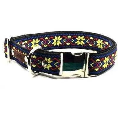 Finnigan's Stylish Custom Dog Collar Set-4
