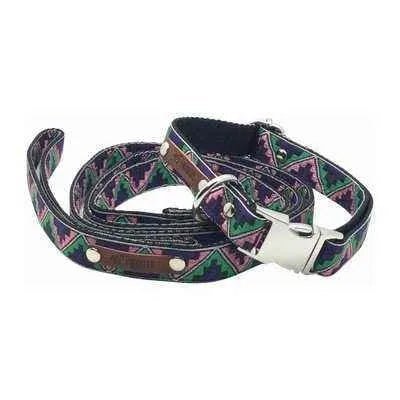 Finnigan's Whimsical Canine Dog Collar Set-1
