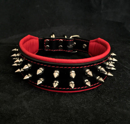 "Frenchie" collar-1